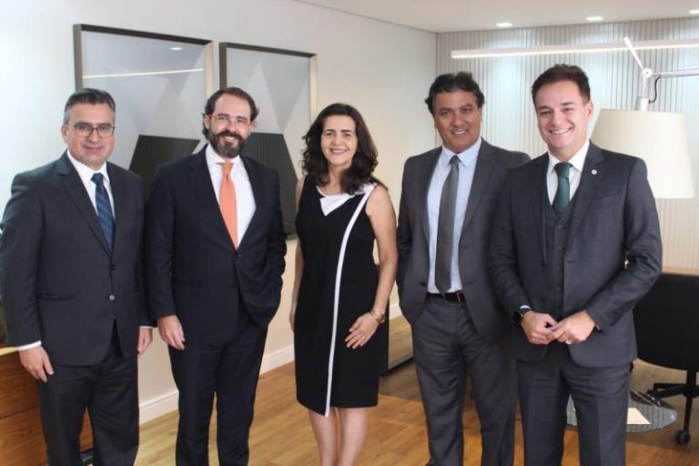 Sem ressalvas, contas de 2017 da OAB-GO são aprovadas pelo Conselho Federal