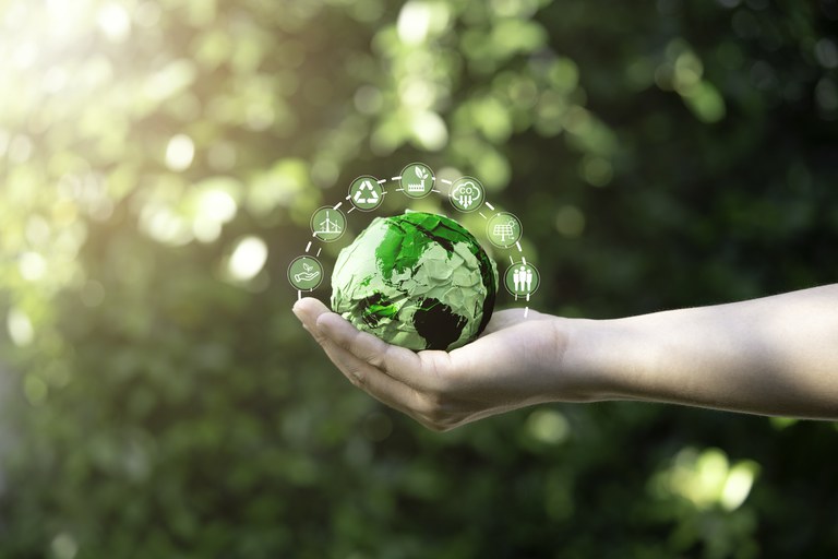 Selo Verde Brasil promove sustentabilidade e inovação nas empresas