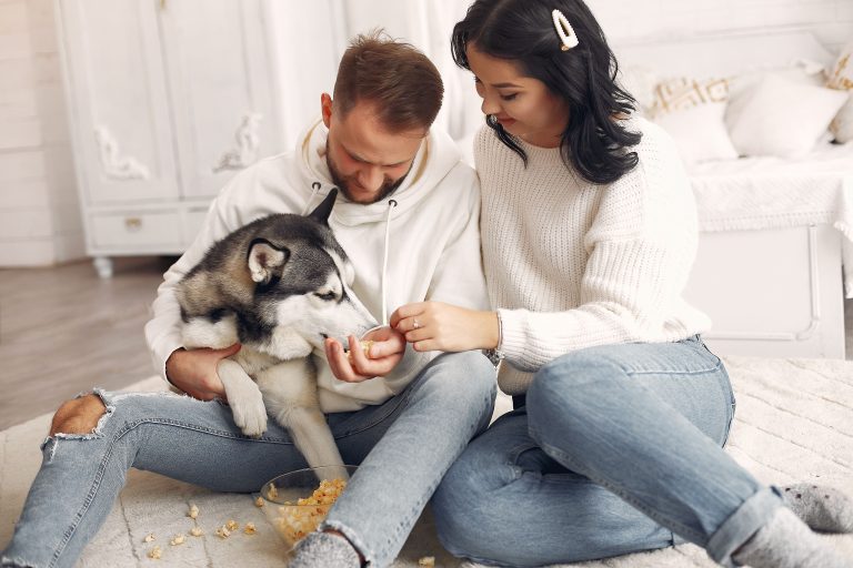 Justiça concede pensão a pets de casal que se separou