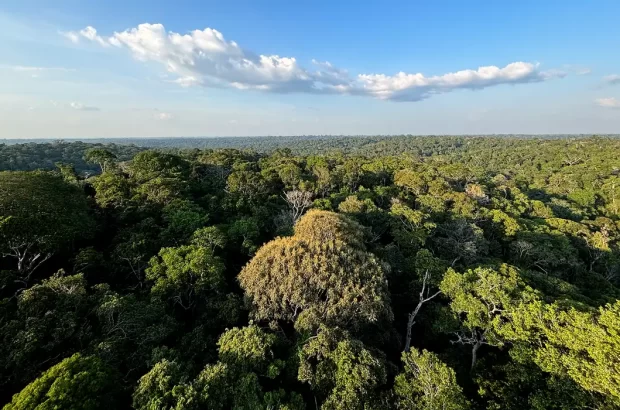 COP30: o que é, quando acontece e o que será discutido em Belém